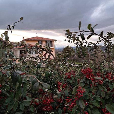 La Casa Di Mezzo-Affitti Brevi-Zona Ospedali Vila Busso Exterior foto