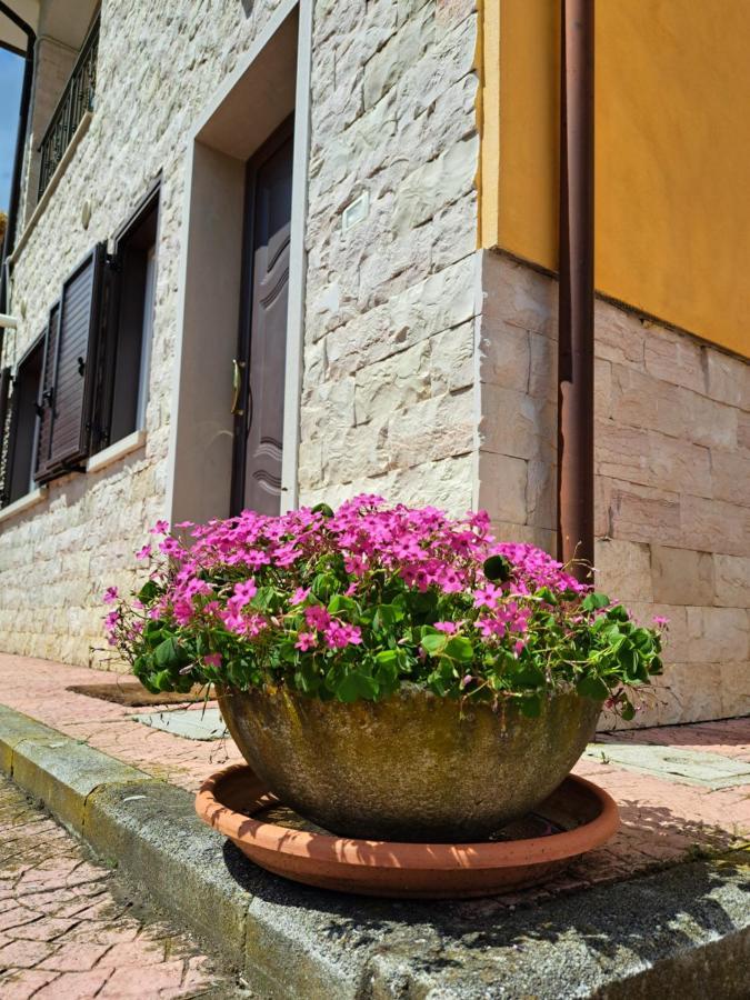 La Casa Di Mezzo-Affitti Brevi-Zona Ospedali Vila Busso Exterior foto