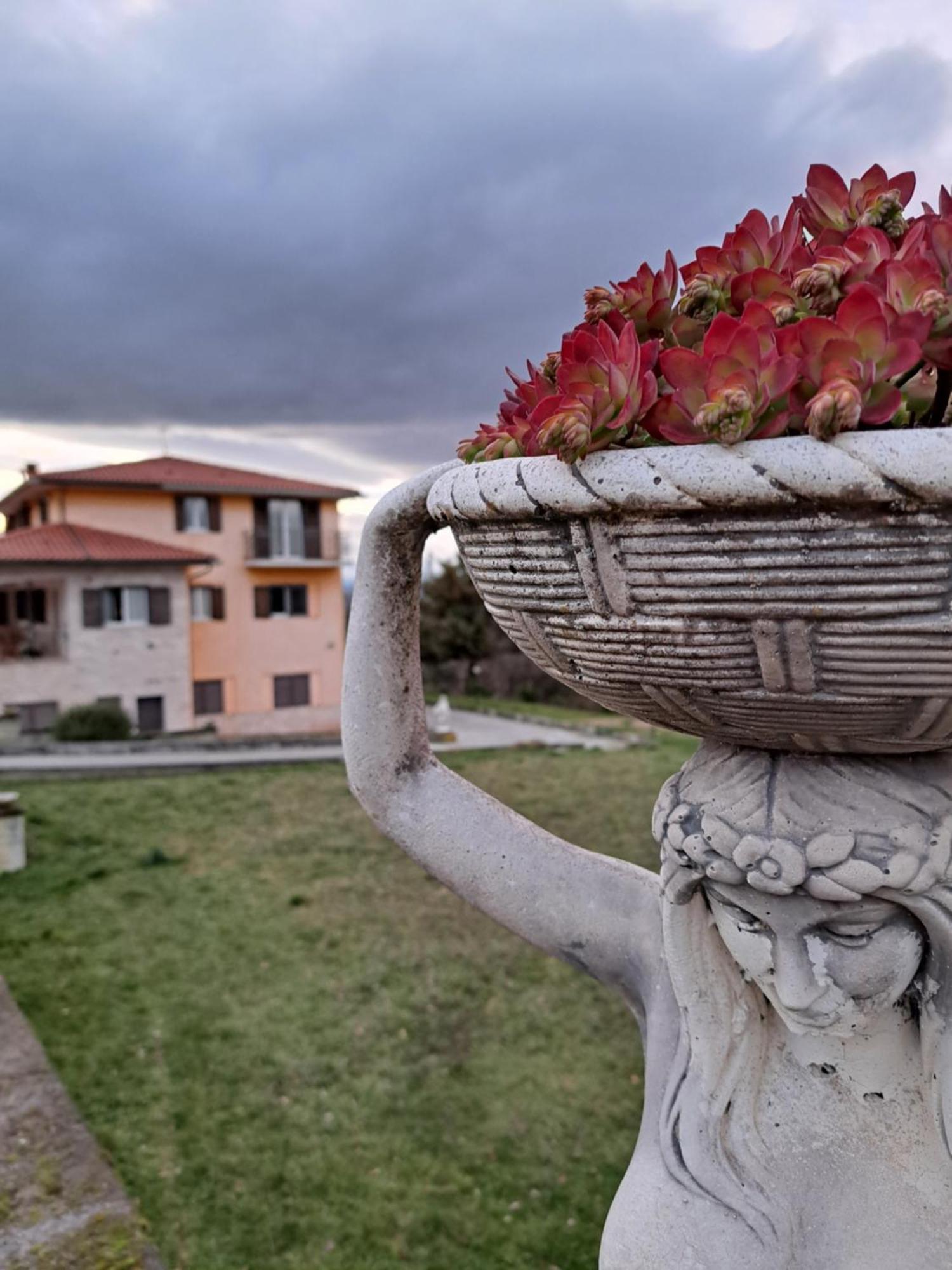 La Casa Di Mezzo-Affitti Brevi-Zona Ospedali Vila Busso Exterior foto